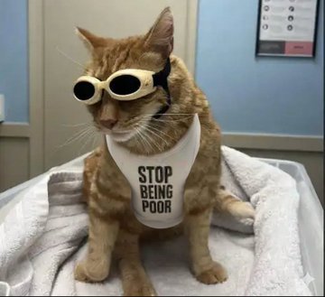 Gus wearing glasses