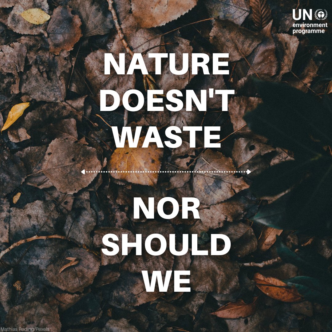 UN's tweet image. Nature doesn’t waste, nor should we.
🍂 Fallen leaves become soil
🦌 Animal droppings nourish plants
🪵 Dead trees become shelter
🪱 Worms turn scraps into compost
Let’s learn from nature and create a more sustainable future.
unep.org/beatpollution/…
via @UNEP