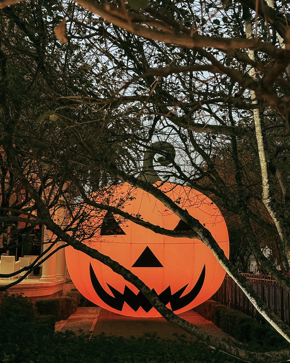 Image for the Tweet beginning: Spooky vibes are sprawling through