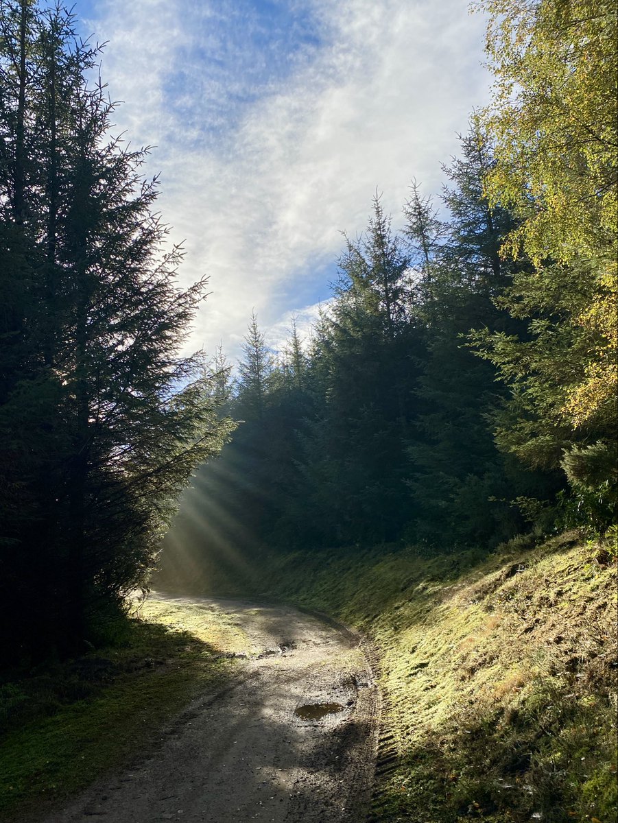 <a href="/earthcurated/">Earth</a> <a href="/CrispeThe/">TheCrispeOutdoors</a>