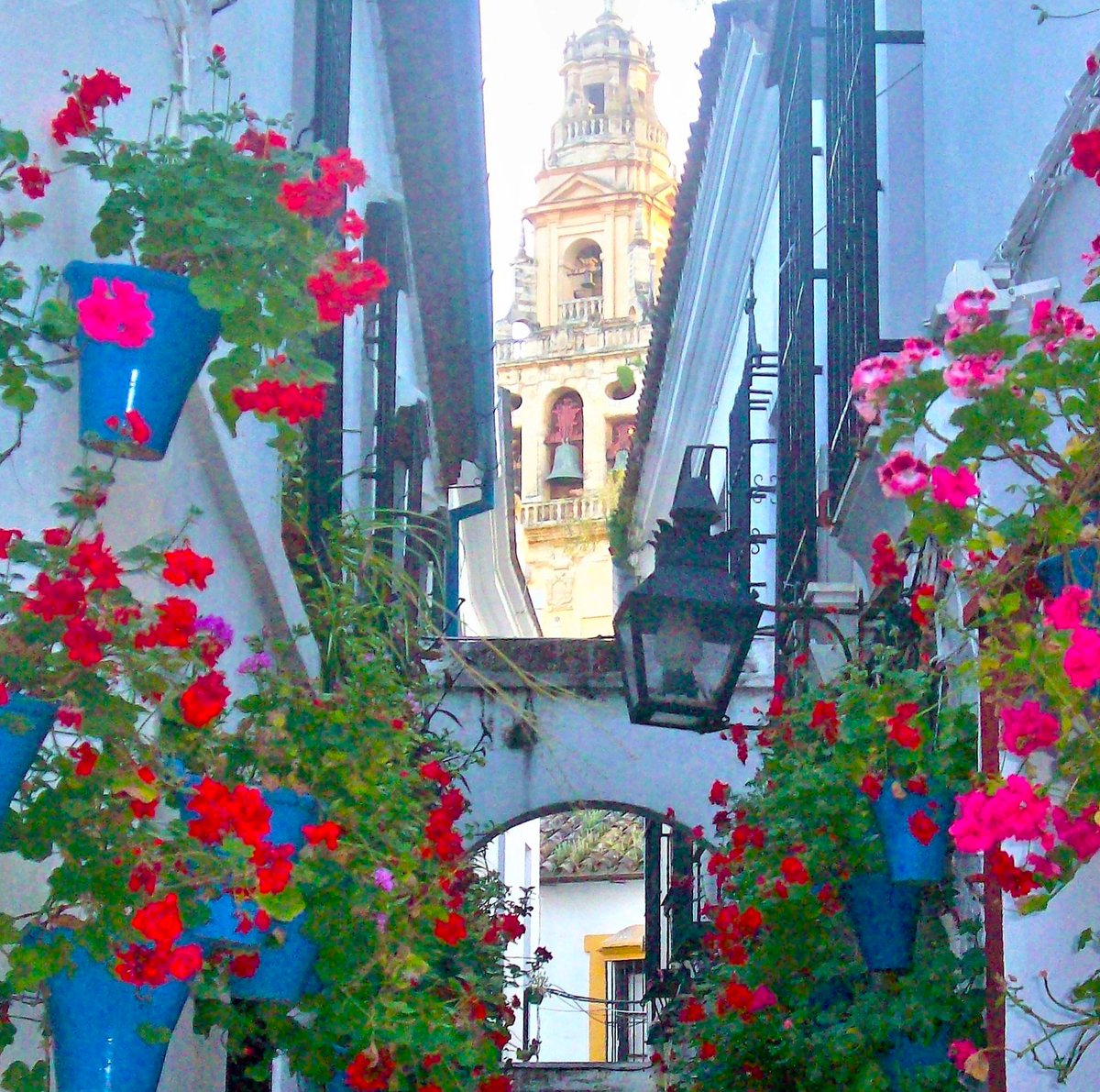 Καλημέρα σε όλο τον κόσμο.

Στις όχθες του Γουαδαλκιβίρ, η Κόρδοβα έφτασε στην ακμή της τον 8 μ.Χ. αιώνα, κάτω από την κυριαρχία των Μαυριτανών.
Τα αραβικά στοιχεία, οι εκκλησίες και οι γλάστρες που κρέμονται απ΄ τους τοίχους, την κάνουν να ξεχωρίζει.

📷My photo
Cordoba, Spain