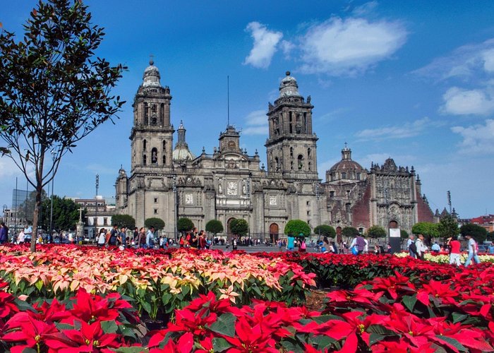 NubesSim's tweet image. 🇲🇽 City
#Nubes #eSIMProvider #TechTravel #MobileData #GlobalSIM #TravelMadeEasy #eSIMSolution #InstantConnectivity #eSIMForTravelers #eSIM