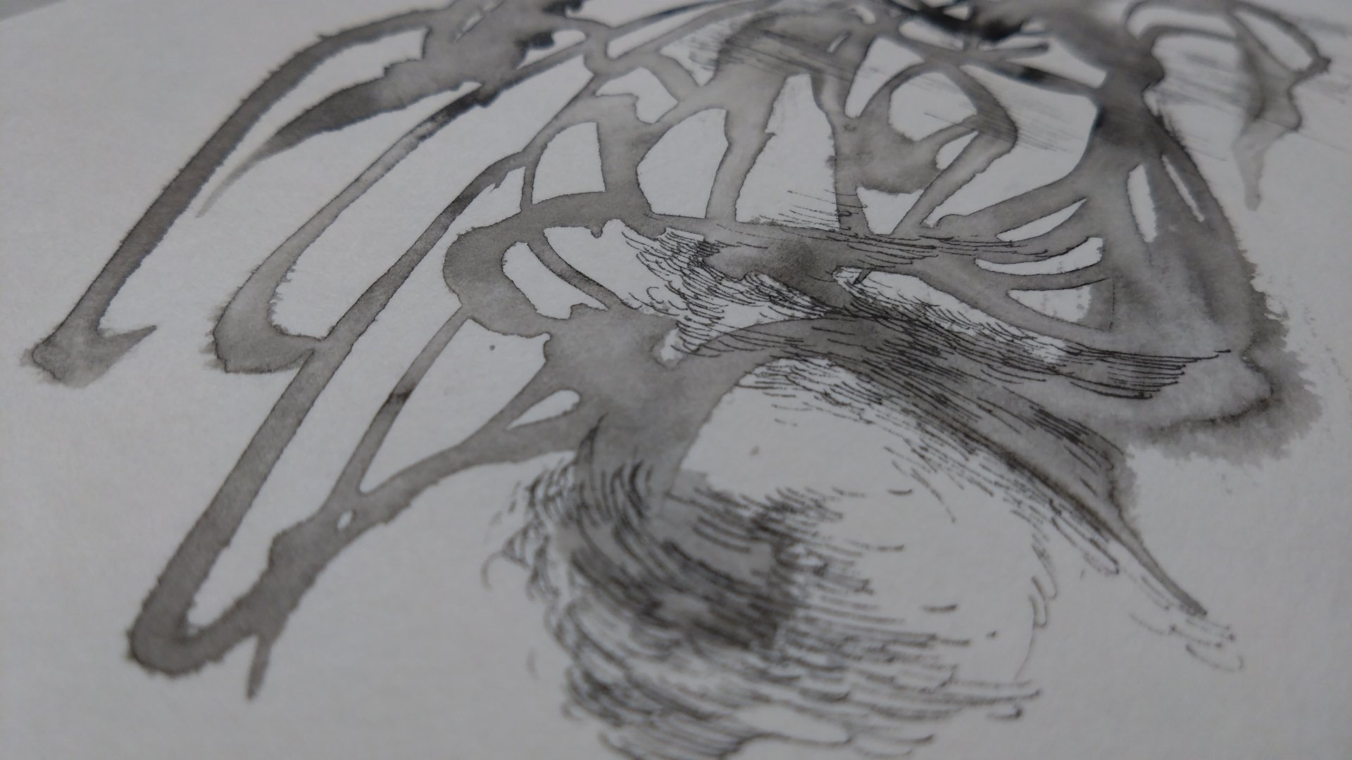 tttttan (タン）／からみほぐし研究所 on X: 