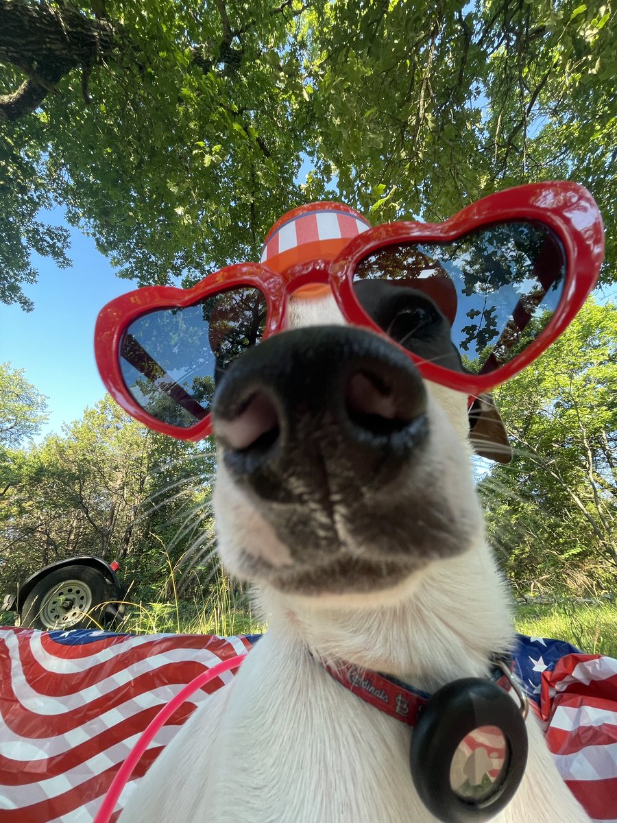 GingerRaign's tweet photo. Theo’s 4th of July pics https://t.co/VNayoCTwjy