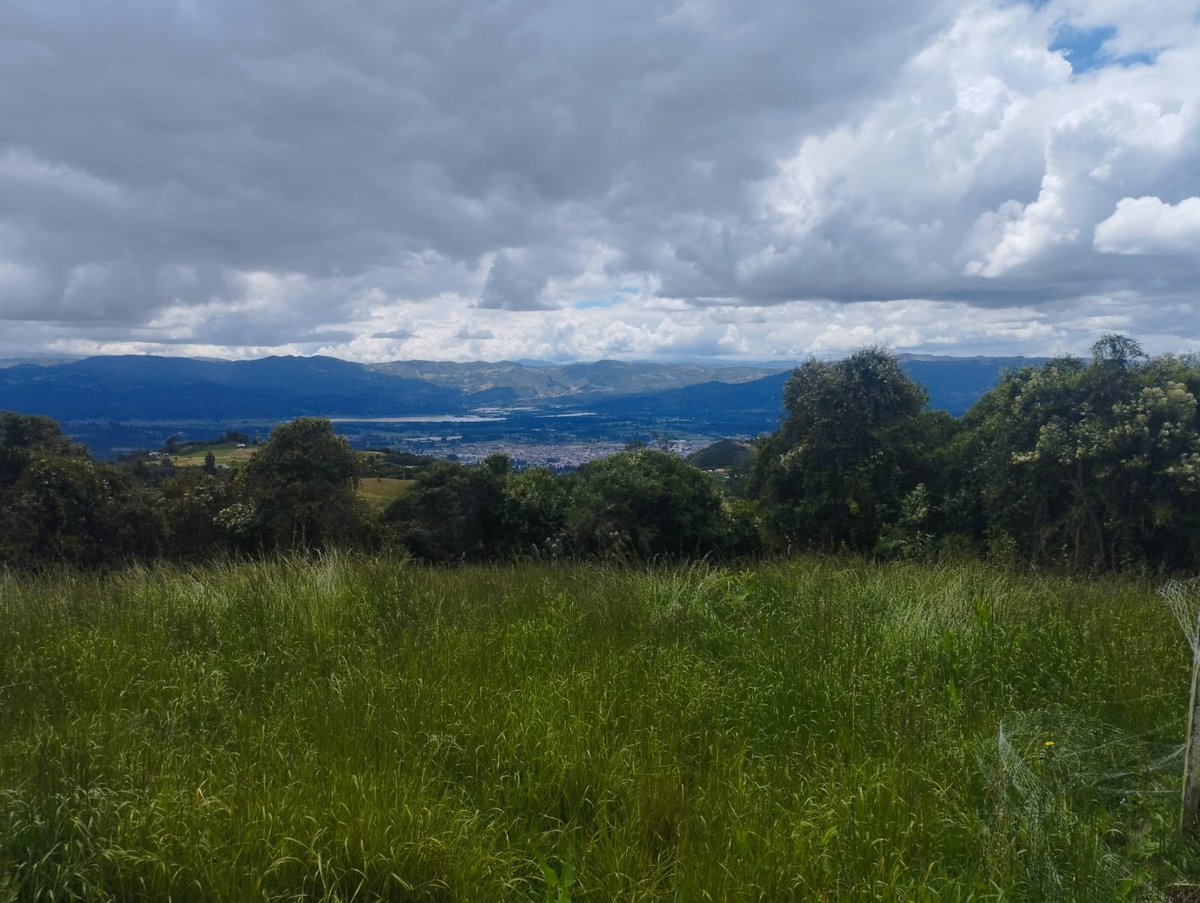 PL Ubaté (@ubate_pl) on Twitter photo Cuidar el medio ambiente es sembrar futuro; los sistemas silvopastoriles son la semilla de una ganadería sostenible y en armonía con la naturaleza.
#ConstruyendoGanadería
<a href="/Fedegan/">FEDEGAN</a> <a href="/jflafaurie/">José Félix Lafaurie</a> <a href="/FacatativaPl/">FACATATIVÁ PASIÓN GANADERA</a> <a href="/PlGuavio/">Guavio Pasión Ganadera</a> <a href="/GirardotPLocal/">@GirardotPasionGanadera</a> <a href="/PL_Zipaquira/">Zipaquira Pasion Ganadera</a> <a href="/PLCaucasiagan/">CAUCASIA PASION GANADERA</a> Cuidar el medio ambiente es sembrar futuro; los sistemas silvopastoriles son la semilla de una ganadería sostenible y en armonía con la naturaleza.
#ConstruyendoGanadería
<a href="/Fedegan/">FEDEGAN</a> <a href="/jflafaurie/">José Félix Lafaurie</a> <a href="/FacatativaPl/">FACATATIVÁ PASIÓN GANADERA</a> <a href="/PlGuavio/">Guavio Pasión Ganadera</a> <a href="/GirardotPLocal/">@GirardotPasionGanadera</a> <a href="/PL_Zipaquira/">Zipaquira Pasion Ganadera</a> <a href="/PLCaucasiagan/">CAUCASIA PASION GANADERA</a>