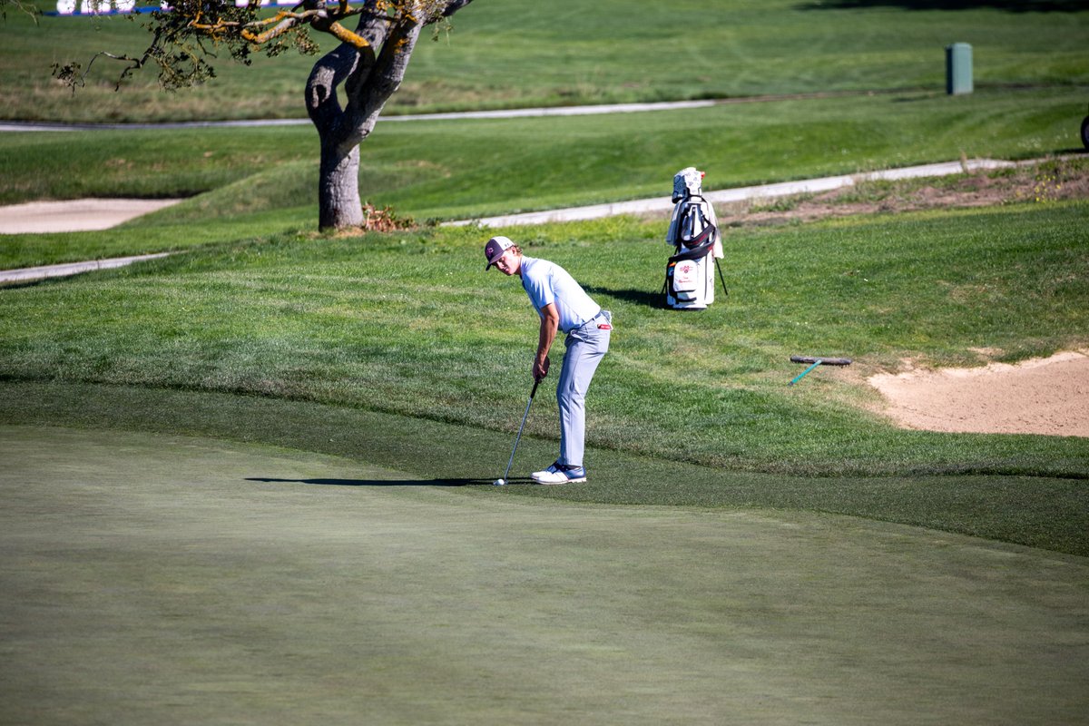 Saint Mary's Golf tweet media