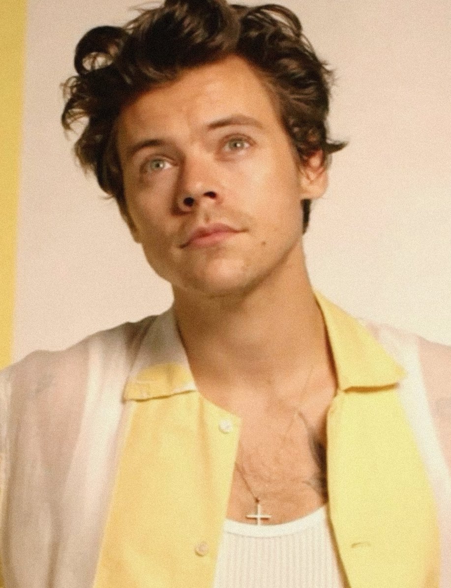 sarahᴴ loves harry 𐙚 (@goldenrryhrry) on Twitter photo 