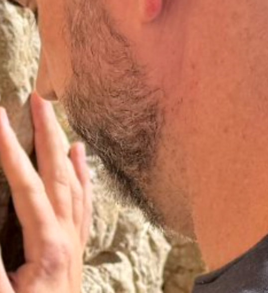 biggest crow tweet media