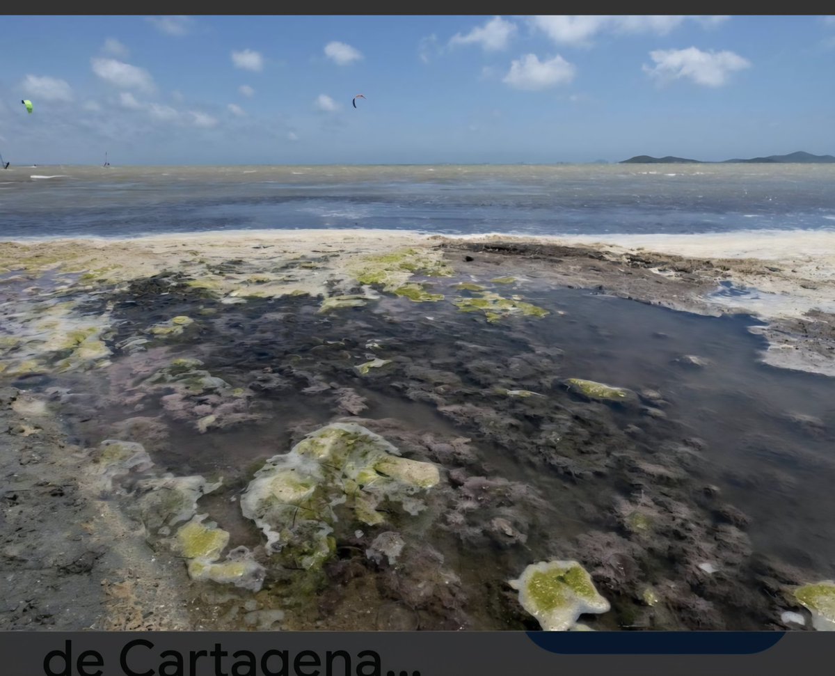 Se acabó mi lucha por  nuestro querido Mar Menor, se acabaron las miles de determinaciones de agua y fangos (altruista) en pro de su recuperación, acabaron mis desvelos, ante las atrocidades de  los vigilantes de la "pasta" en forma de subvenciónes, es una batalla que he perdido.