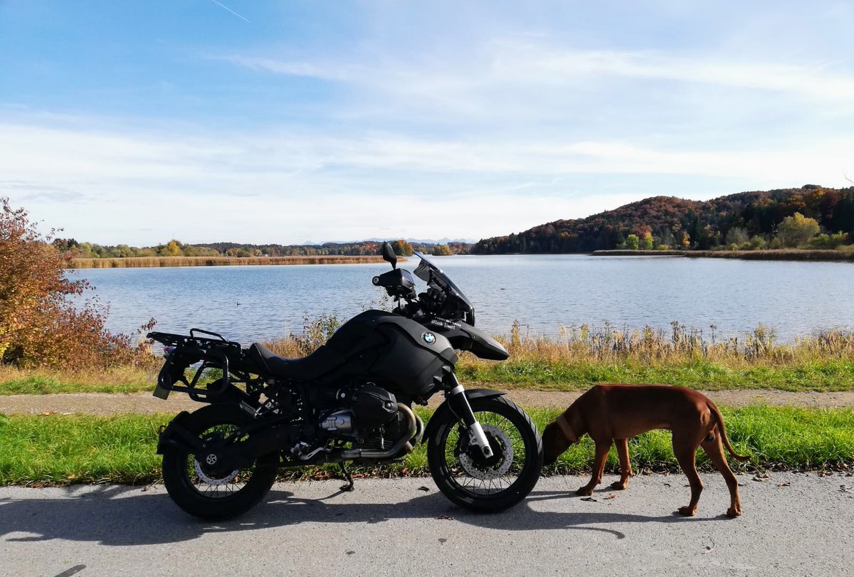 #motorcycle sniffer 🐕‍🦺🏍️🙂👍