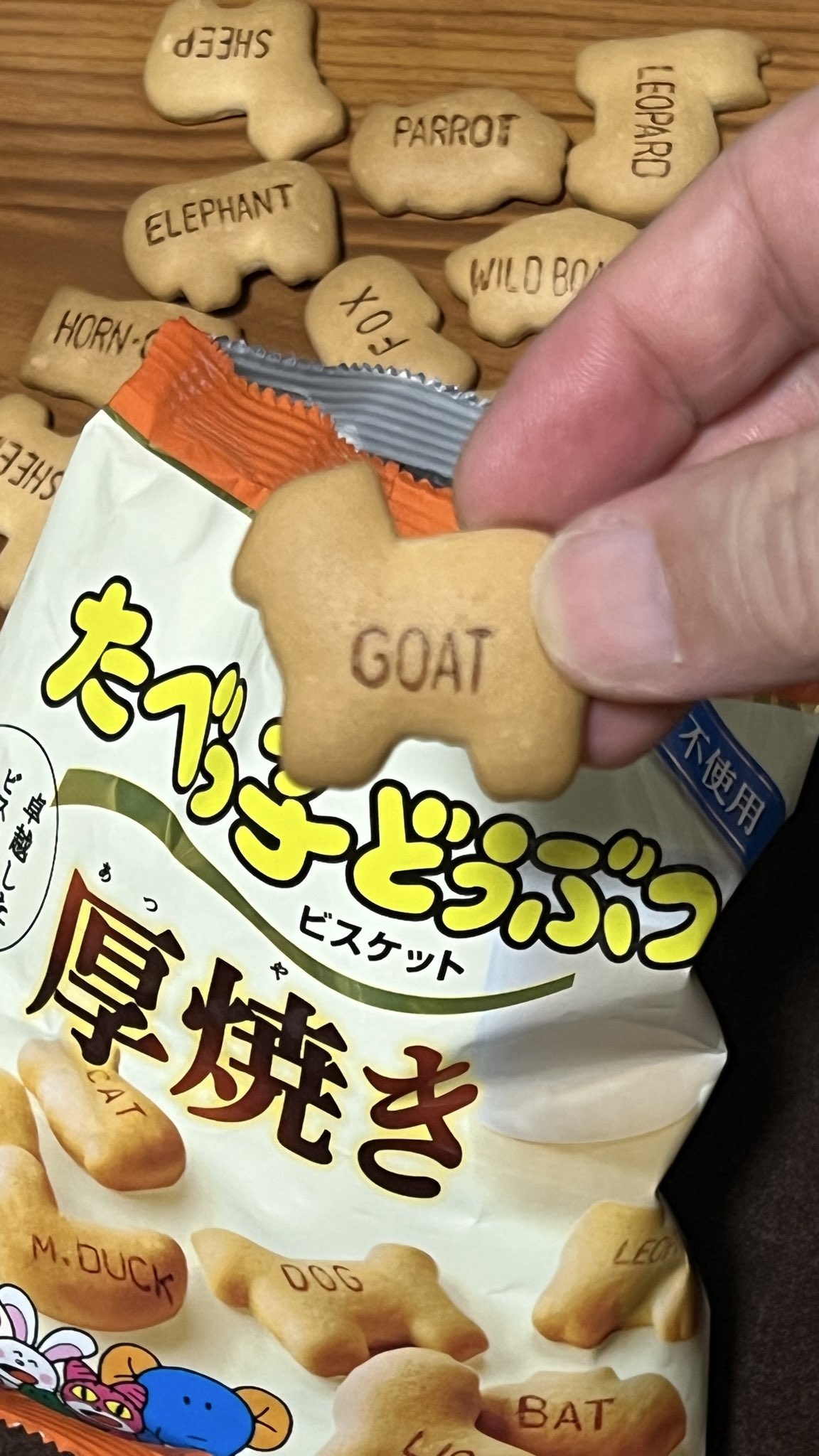 megu⑅﻿ページ mogu05🍙🔥🌰'MOGU DESIGN WORKS' (@mogu05) / X