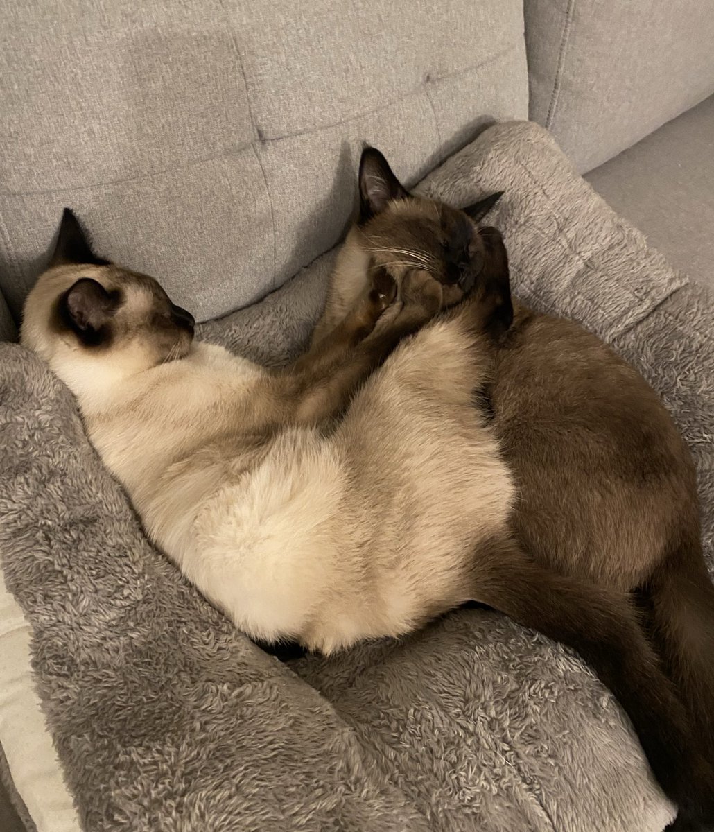 ぴーすけ25 (@sosuke0505) / Posts / X