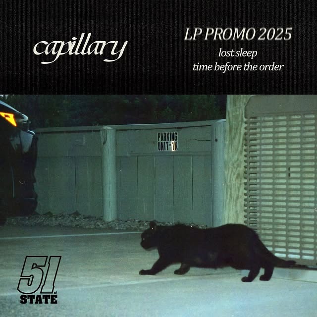 Capillary Release ‘LP Promo 2025’: soundinthesignals.com/2025/10/capill…