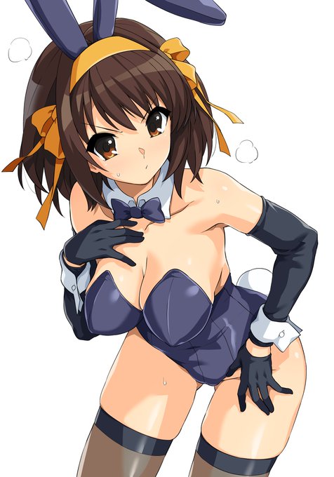 バニーハルヒさん 