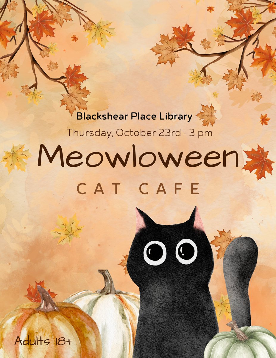 Play with cats and kittens from the Hall County Animal Shelter at our cozy Halloween cat cafe! Refreshments and snacks will be provided! Don't miss out on this free event!