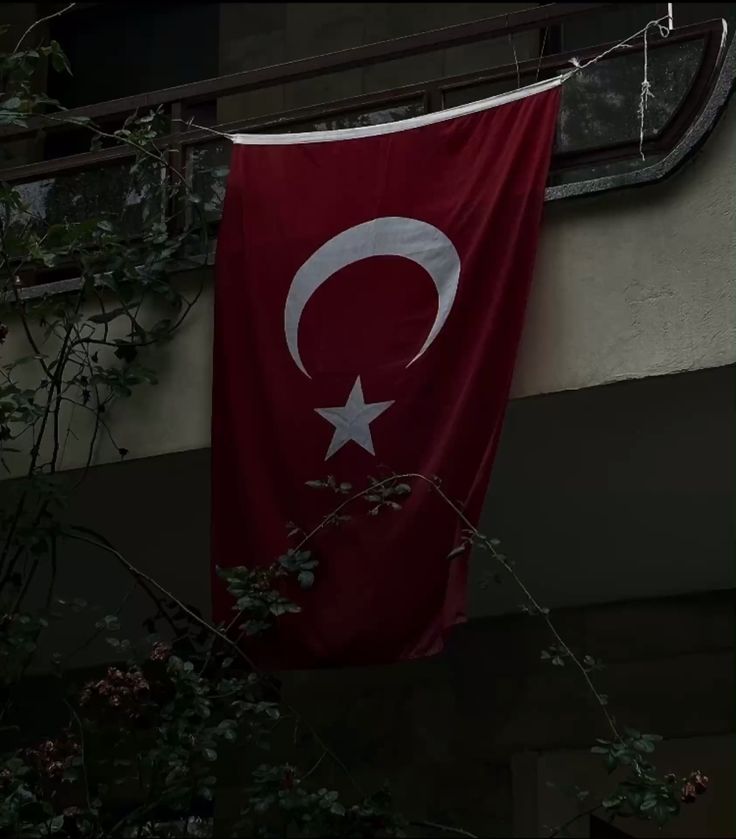 turqoisè (@tuurqoise) on Twitter photo 