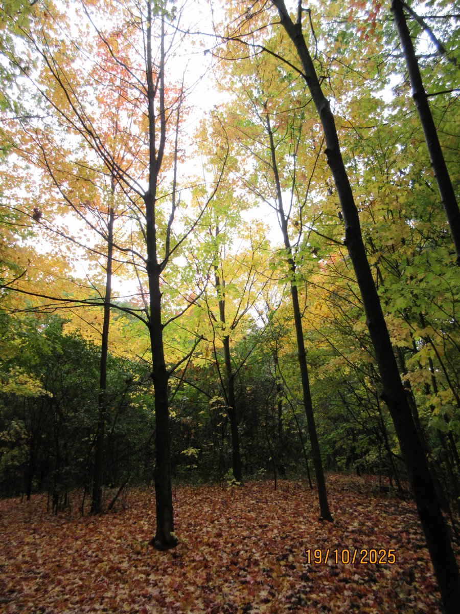 Kim M.🌈🐘🦋 tweet media