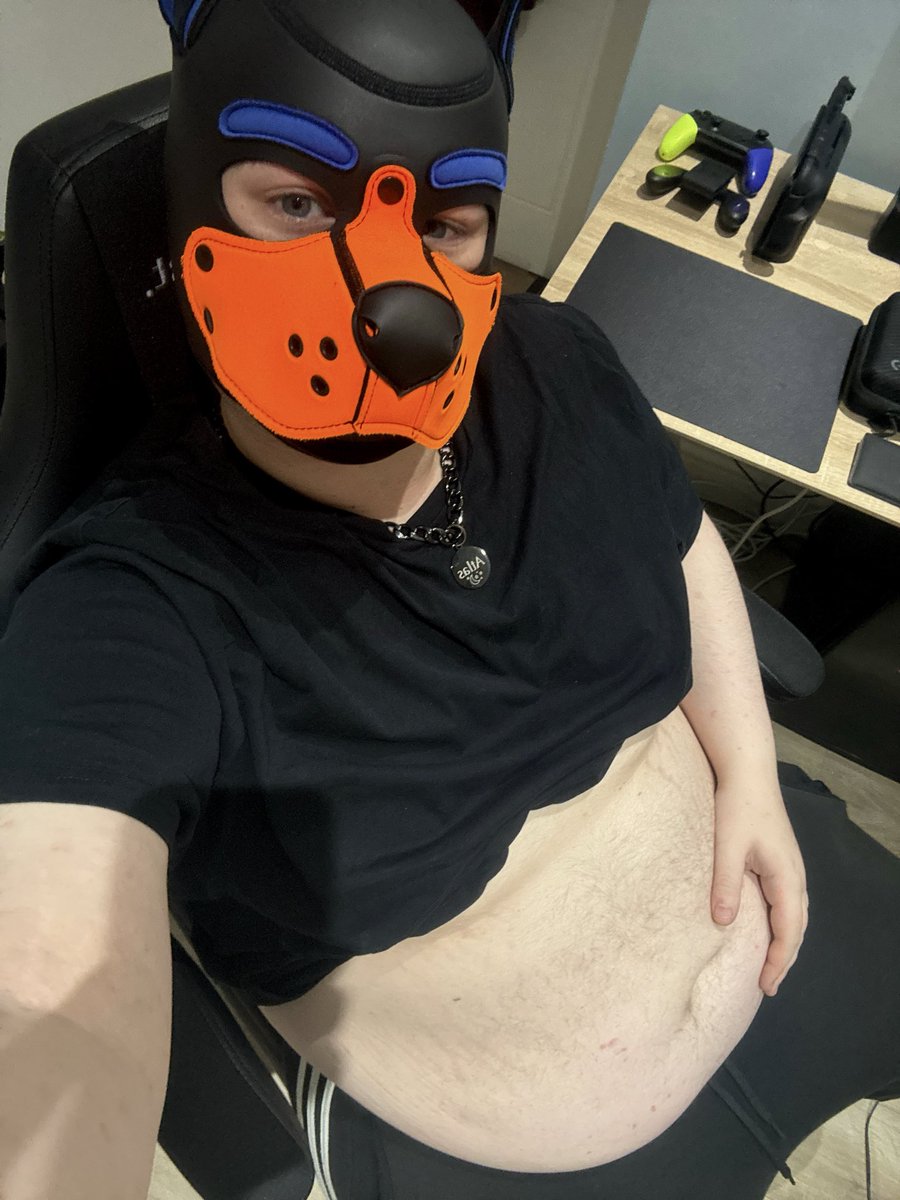 Tum for da Tuesday 🐕