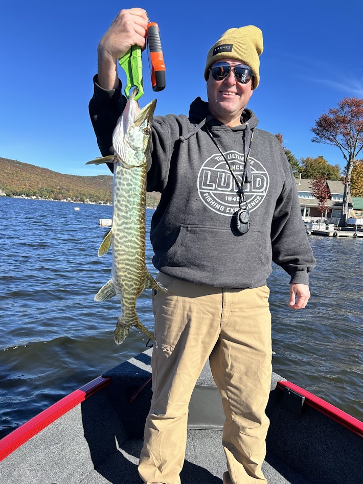 They call the Lund 1650 Rebel XL a multi-species fishing machine. This Musky would agree. Totally ignored the fact that I was fishing for bass. No leader.  10 lb Fluoro. Ned rigged hula stick. Lets goooooooooooooooooooooooo!!!!!!  #zmanfishing #mudminnow #lundboats #greenwoodlake