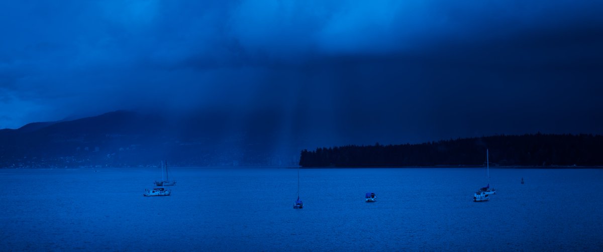 priyankap_patel's tweet image. &apos;anchored in blue&apos;