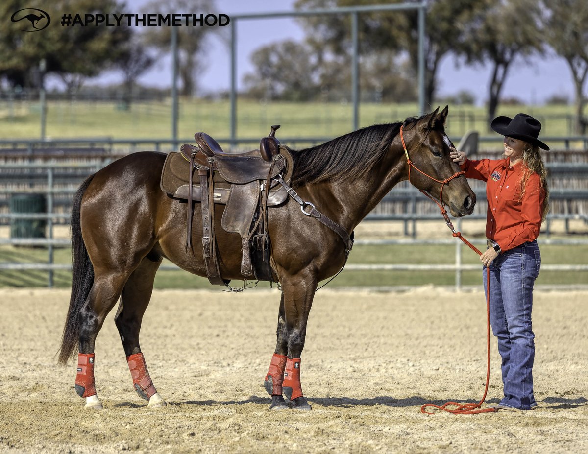 DownunderHorse's tweet image. What started as a personal journey with one untrained horse became Method Ambassador Katie Votaw’s calling: building better partnerships between horses and people.
certifiedclinician.com/clinician/kati…
#ApplyTheMethod