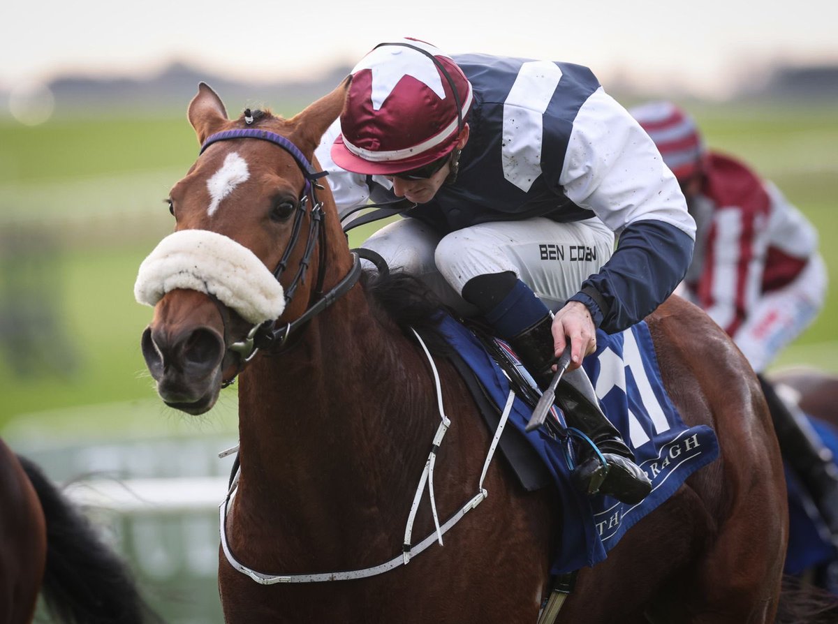The Curragh Racecourse tweet media