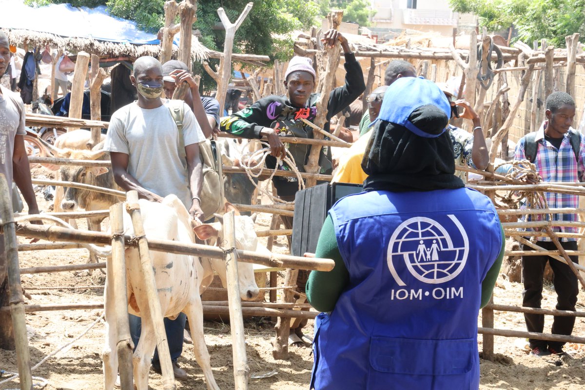 Remise par l’OIM Mali de 65 kits agricoles (50 d’agriculture et 15 de maraîchage) aux migrants de retour volontaire, dans le cadre du projet MPRR, financé par l’Union européenne 🇪🇺.