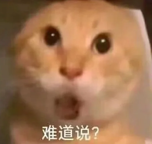 今晚是真热闹:
fourmeme 中文名: 福米 福米米 富米; 
solana中文名: 索拉拉;
马斯克一直骂NASA: 黑猩猩, Sean Dummy;
cz奶竞技场: Arena,  Vibe;
还有他妈的俄乌要停战: 世界和平!

好充实啊