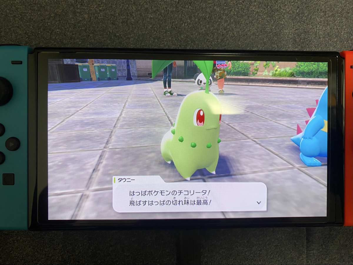 やっぱりチコリータ🌱