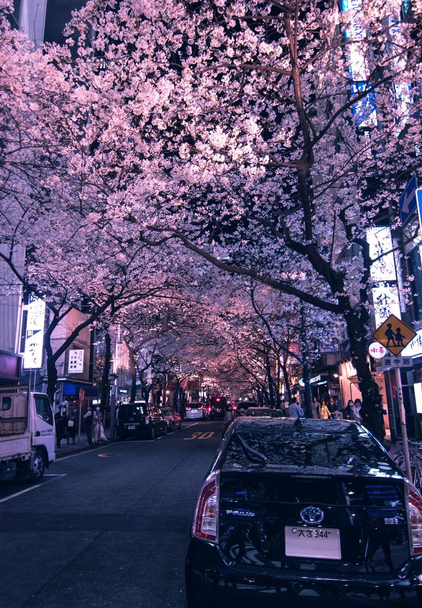 YoderTisha's tweet image. 火曜日午後のメモ：雨／元気。休憩する→読書する。マイペースで。