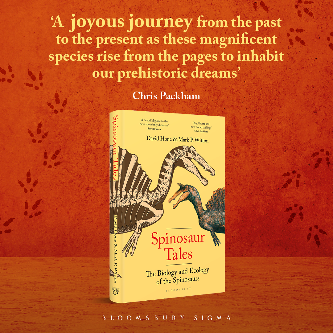 sigmascience's tweet image. The giant sail-backed carnivorous dinosaur Spinosaurus is one of the most famous of all dinosaurs.

But what do we actually know about this crocodile-headed monster and its relatives, the spinosaurs?

@Dave_Hone and @MarkWitton investigate in SPINOSAUR TALES 

Out 6th November