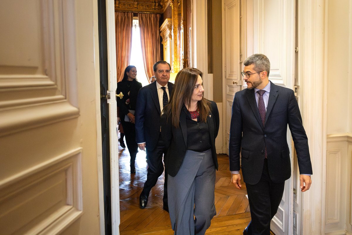 David Bertolotti tweet media