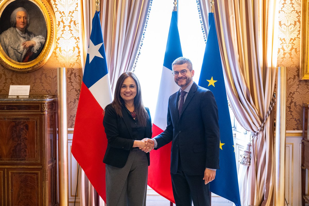 David Bertolotti tweet media