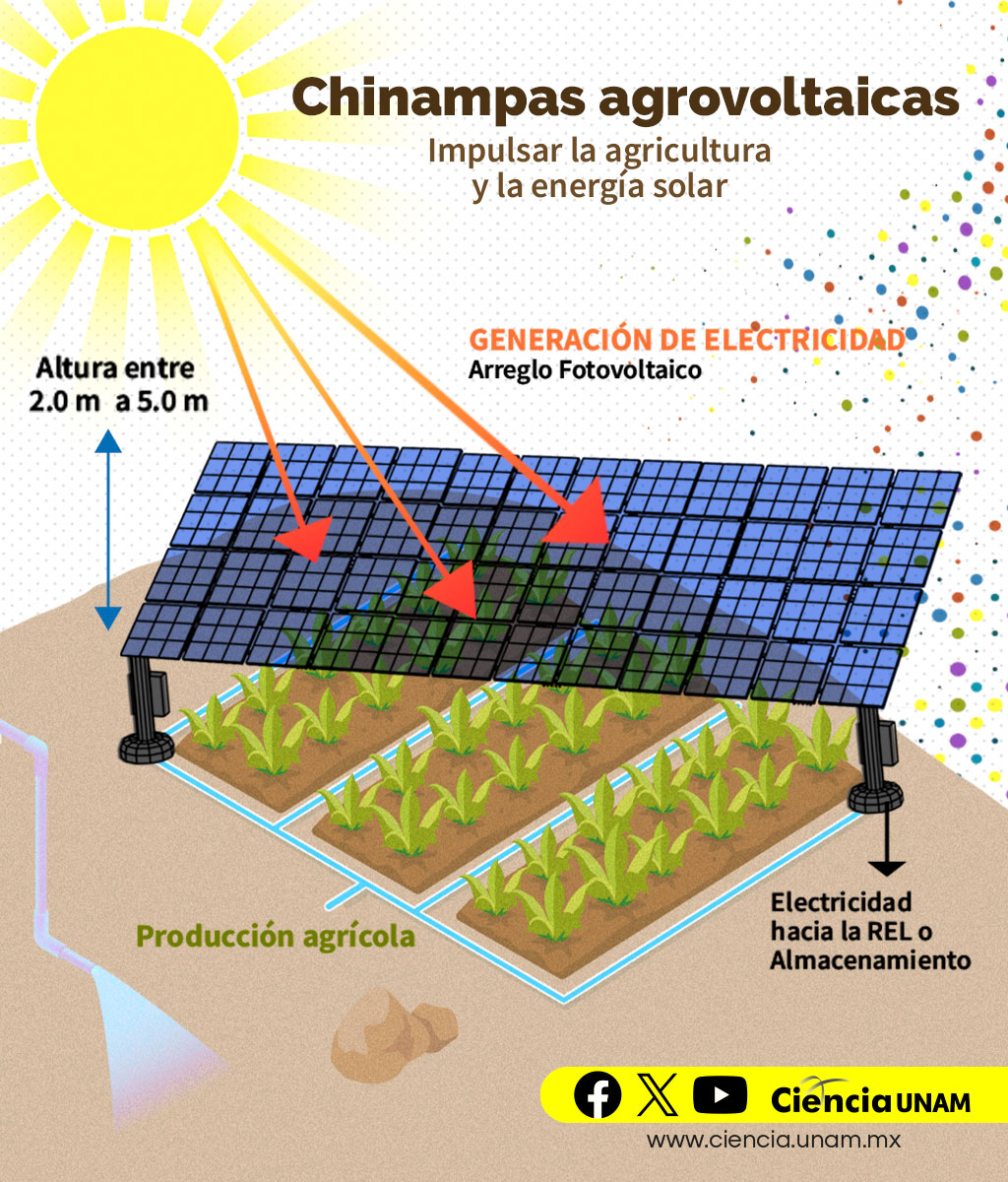 #Tecnología | La energía #fotovoltaica se trata de una tecnología que permite cultivar y generar #electricidad al mismo tiempo, mediante la instalación de #panelesssolar en tierras de cultivos ¿La conocías?
Te contamos más acá: cutt.ly/dwW69hqu