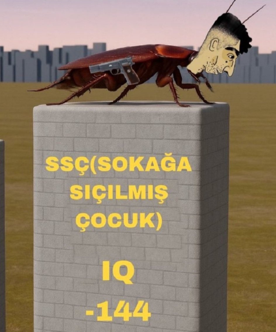 Ülkemde sokağa sıçılmış piclerin ilaçlamasını istiyorum!... 

#MattiaAhmetMinguzzi