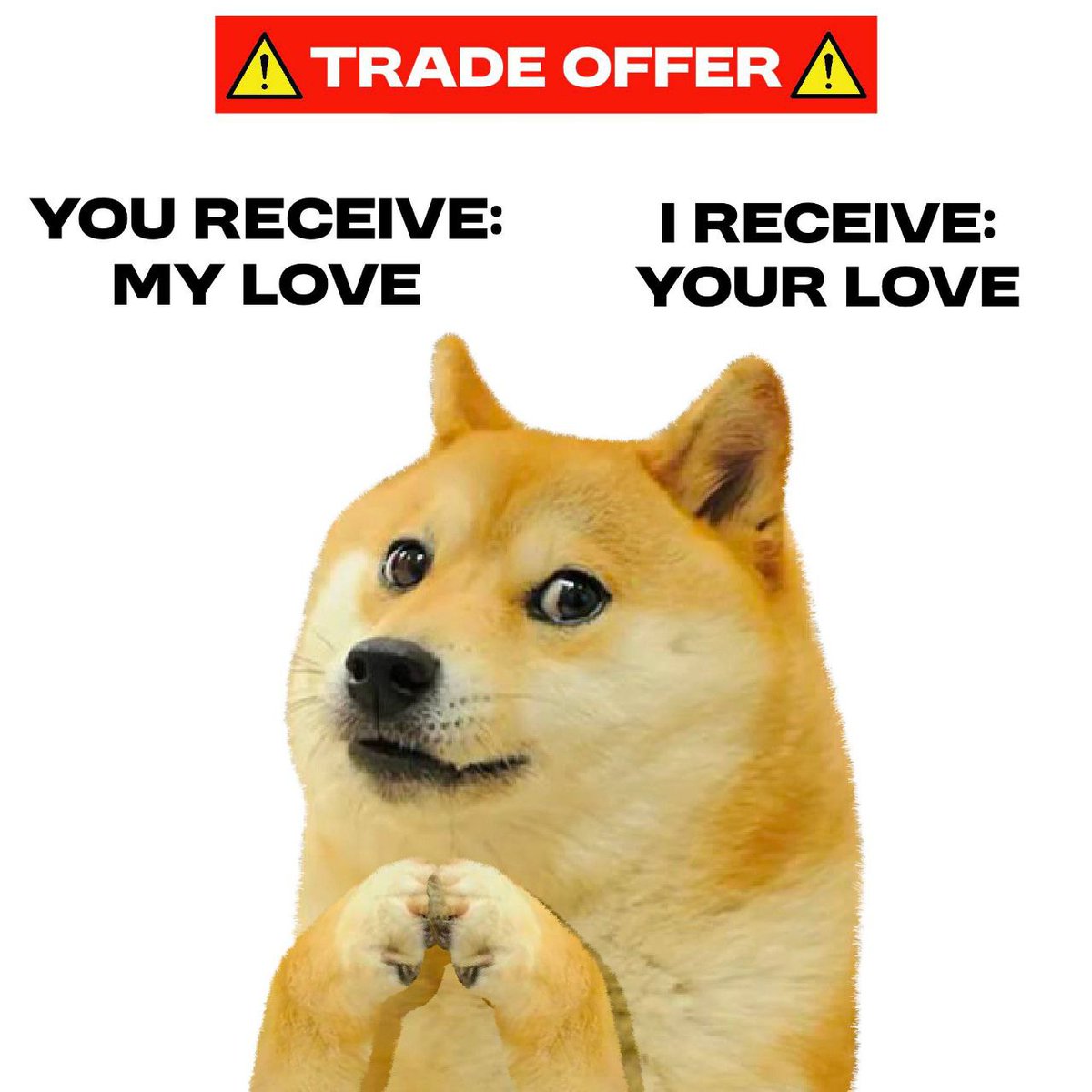 ownthedoge's tweet image.