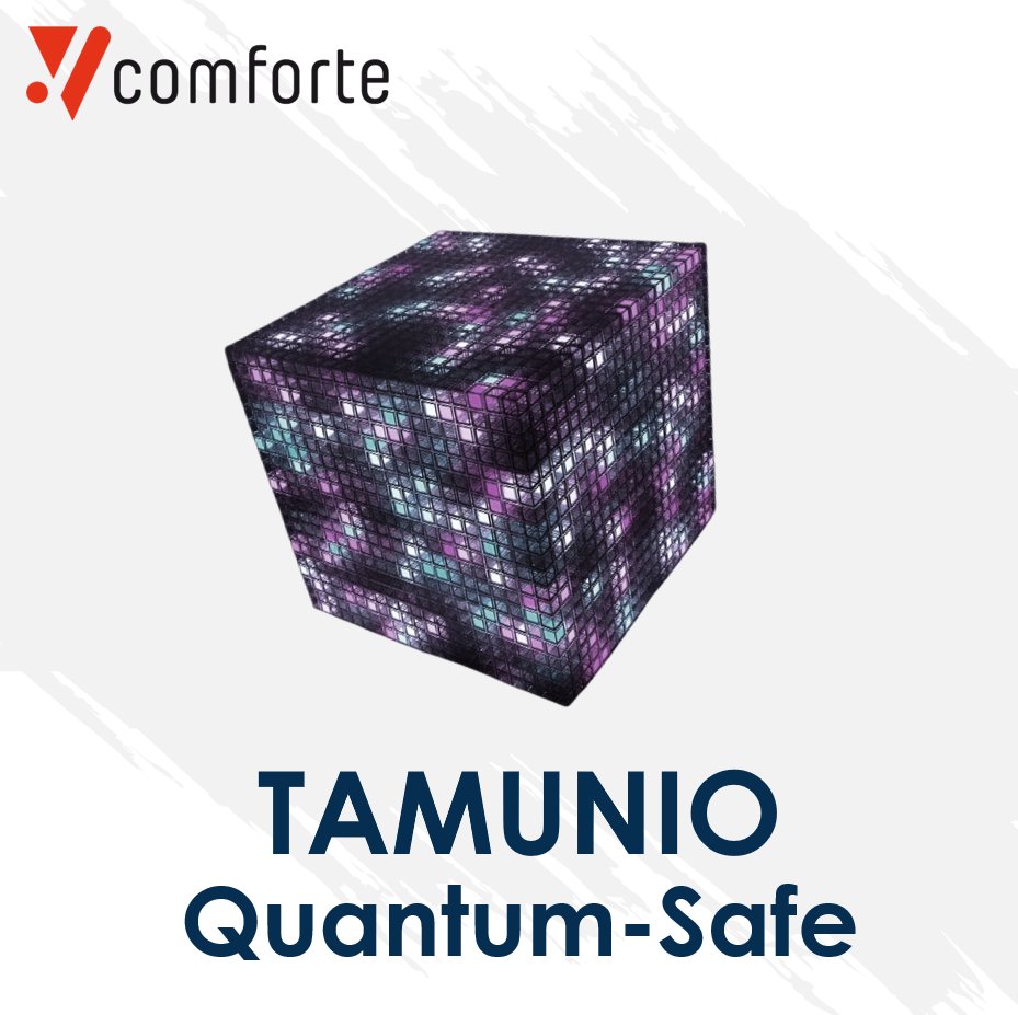 comforteAG's tweet image. Quantum computing is coming.
Data stolen today could be decrypted tomorrow.
With TAMUNIO Quantum-Safe Protection, you can protect what matters most.
Secure today. Stay ready for tomorrow. 🛡️
Learn more: comforte.com/solutions/futu…
#QuantumSafe #DataSecurity #TAMUNIO