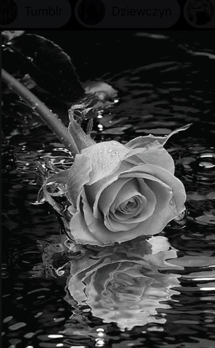 AnaAnna1081422's tweet image.