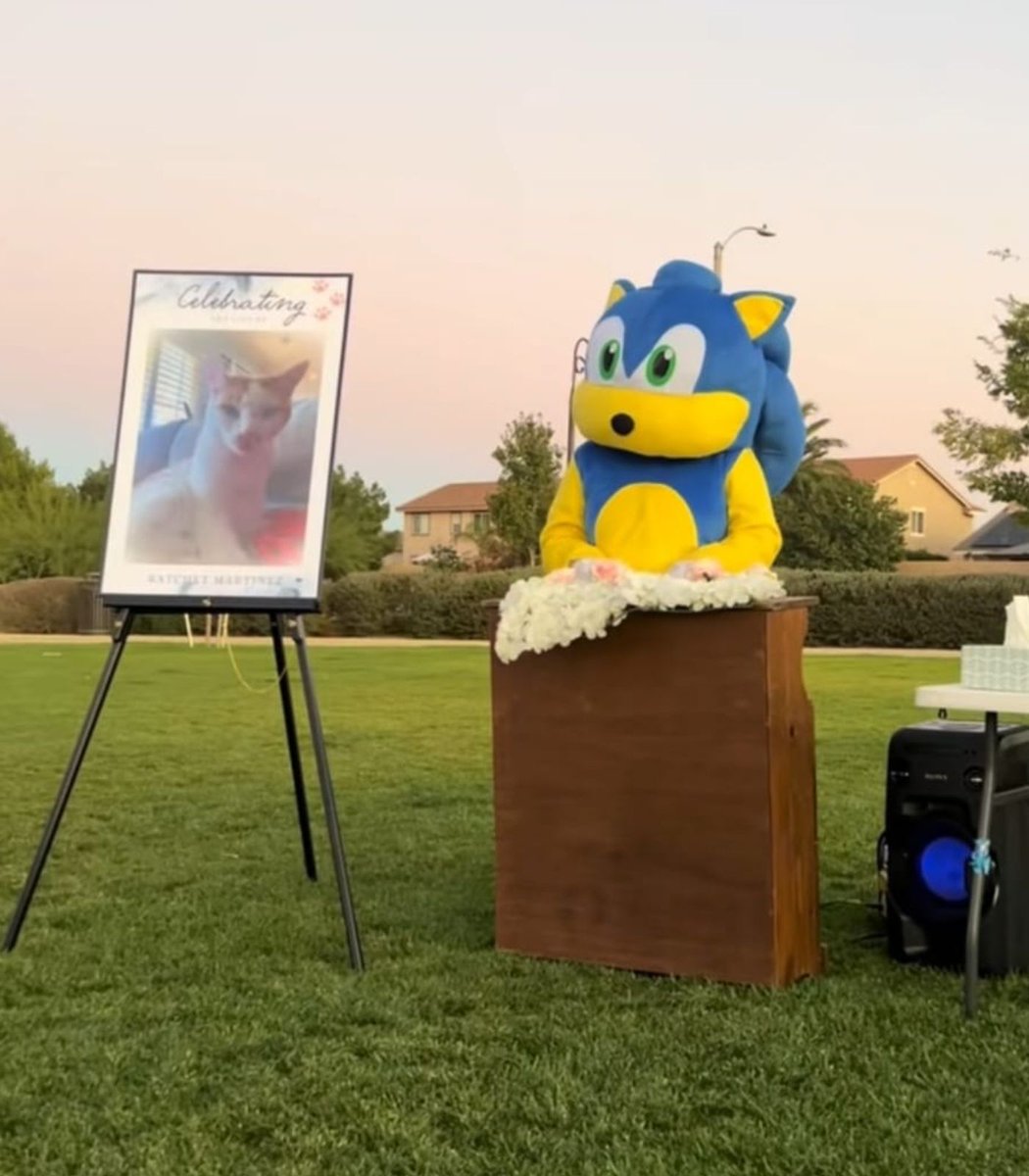 A TikToker has gone viral after having Sonic the Hedgehog read the eulogy at his cat's funeral