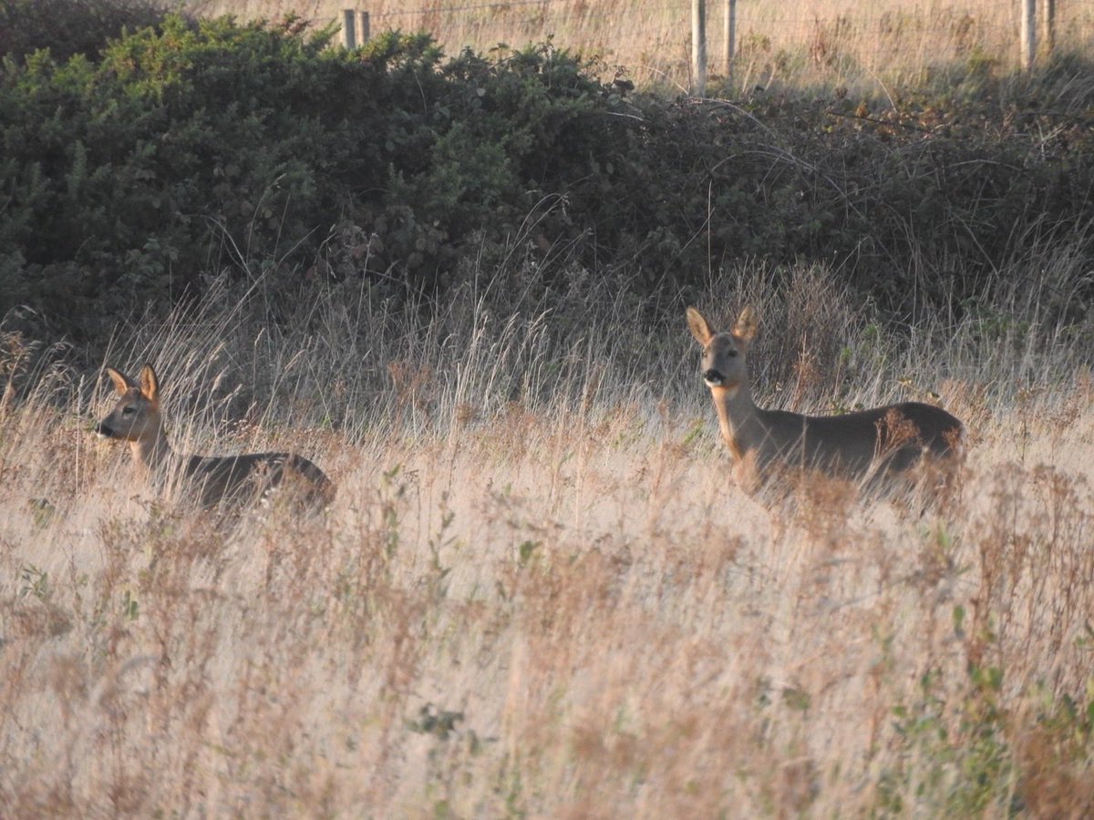 Happy place right here