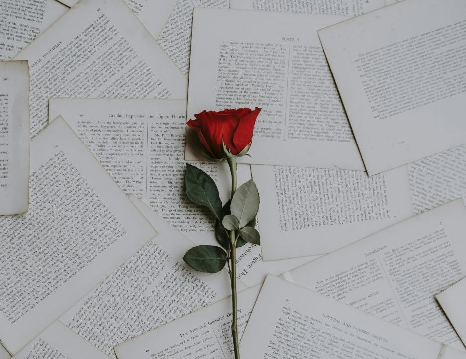 WNBASFChapter's tweet image. 8 Books That Explore the Love Letters of Literary Icons electricliterature.com/8-books-that-e… via @electriclit