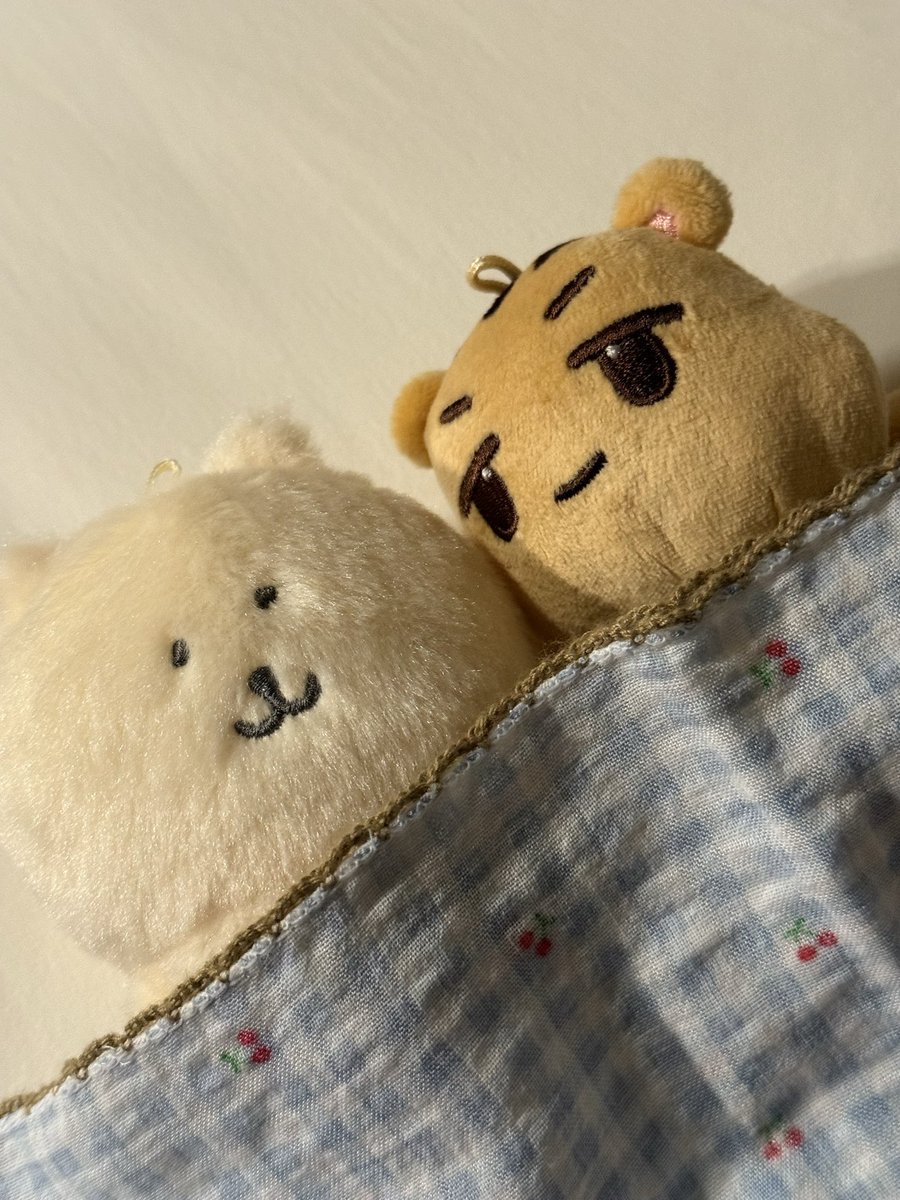 공연 보고 집 오느라 경황이 없어서 다시 자세하게 글 남깁니다
오늘 오아시스 공연에서 다라밍 잃어버린 주인님 찾아요!
공연 보는 내내 틈틈이 확인했는데 따로 연락이 없으셔서 일단 저희 집으로 데려와서 재웠습니다 ... 🥺
꼭 귀가시키고 싶어요 ...
#샤이니 #민호 #오아시스 #다라밍