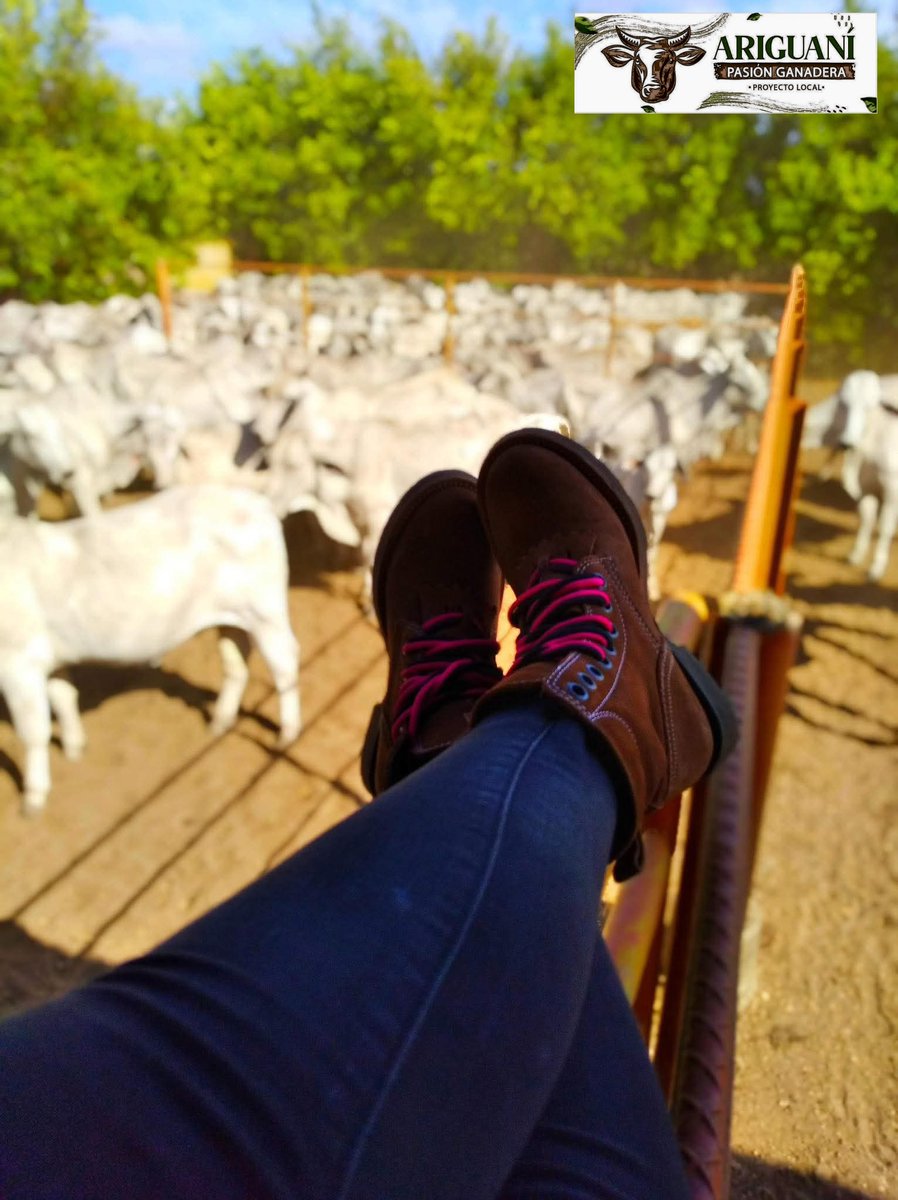 FNG PL Ariguani- Sabanas de San Ángel Magdalena (@plariguani) on Twitter photo #OrgullosamenteGanaderos Esta es la vida que quiero 💚🤠🏡🙌🐃
#ConstruyendoGanadería
#GanaderíaSostenible
#SOSGanadero
<a href="/Fedegan/">FEDEGAN</a> <a href="/jflafaurie/">José Félix Lafaurie</a> <a href="/FedeganSoata/">Provincia Norte Pasion Ganadera</a> <a href="/FngFedeganPlato/">FNG_Fedegan_Proyecto_Plato</a> #OrgullosamenteGanaderos Esta es la vida que quiero 💚🤠🏡🙌🐃
#ConstruyendoGanadería
#GanaderíaSostenible
#SOSGanadero
<a href="/Fedegan/">FEDEGAN</a> <a href="/jflafaurie/">José Félix Lafaurie</a> <a href="/FedeganSoata/">Provincia Norte Pasion Ganadera</a> <a href="/FngFedeganPlato/">FNG_Fedegan_Proyecto_Plato</a>