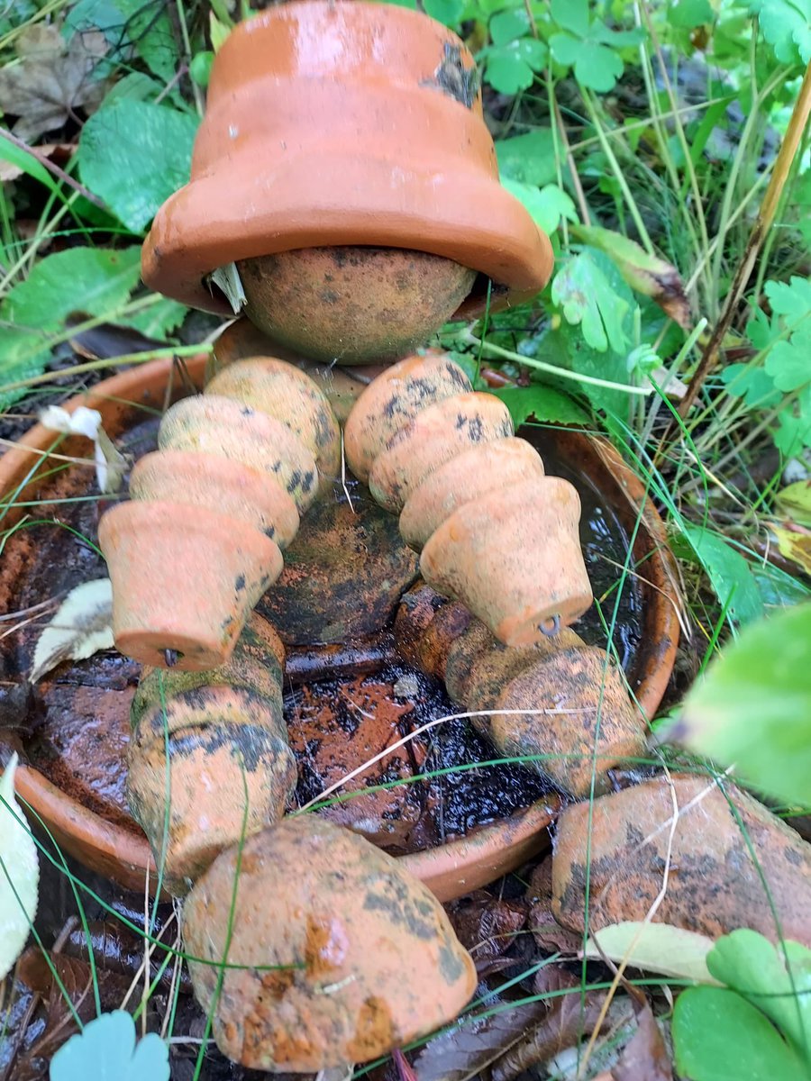 Orangetober Day 21: flowerpot man ~ photo taken by Mum. Join in with Orangetober: whenever you see something orange this October, take a photo of it and post it online, asking people to consider donating to my urgently-needed neurosurgeries:

jkrowbory.co.uk/2025/10/orange…

Thank you 🧡