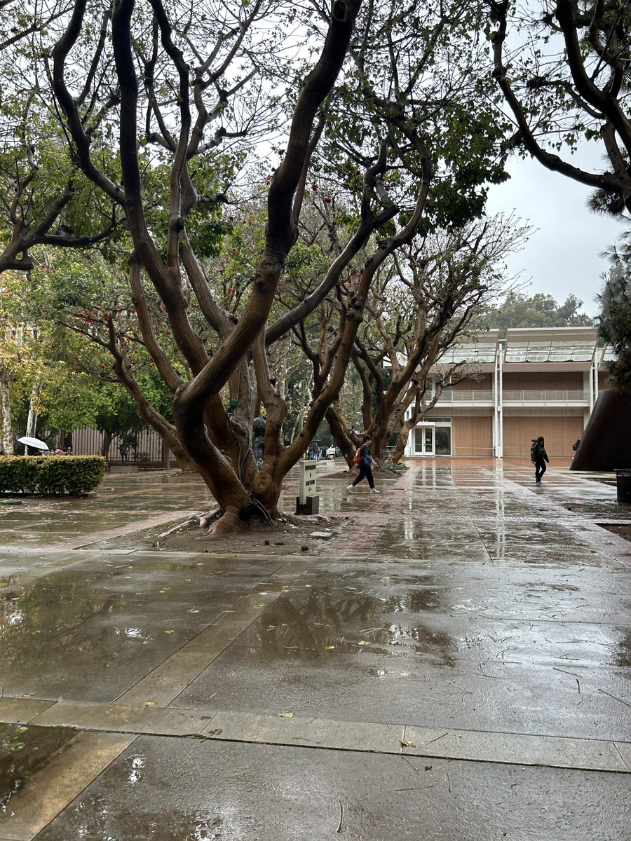 UCLA Summer Sessions tweet media