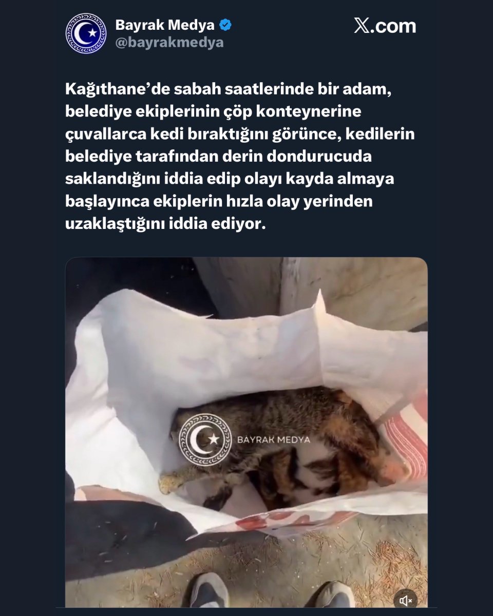 Alpjuan (@alpjuan1) on Twitter photo Olayın videosu da var fakat ben öncelikle sormak istedim. Kağıthane Belediyesi, iddialar doğru mu? Çuvalla donmuş haldeki cansız kedileri çöp konteynırına bırakmak neyin nesidir? Bir açıklama yapacak mısınız?
<a href="/KagithaneBelTR/">Kağıthane Belediyesi</a> Olayın videosu da var fakat ben öncelikle sormak istedim. Kağıthane Belediyesi, iddialar doğru mu? Çuvalla donmuş haldeki cansız kedileri çöp konteynırına bırakmak neyin nesidir? Bir açıklama yapacak mısınız?
<a href="/KagithaneBelTR/">Kağıthane Belediyesi</a>