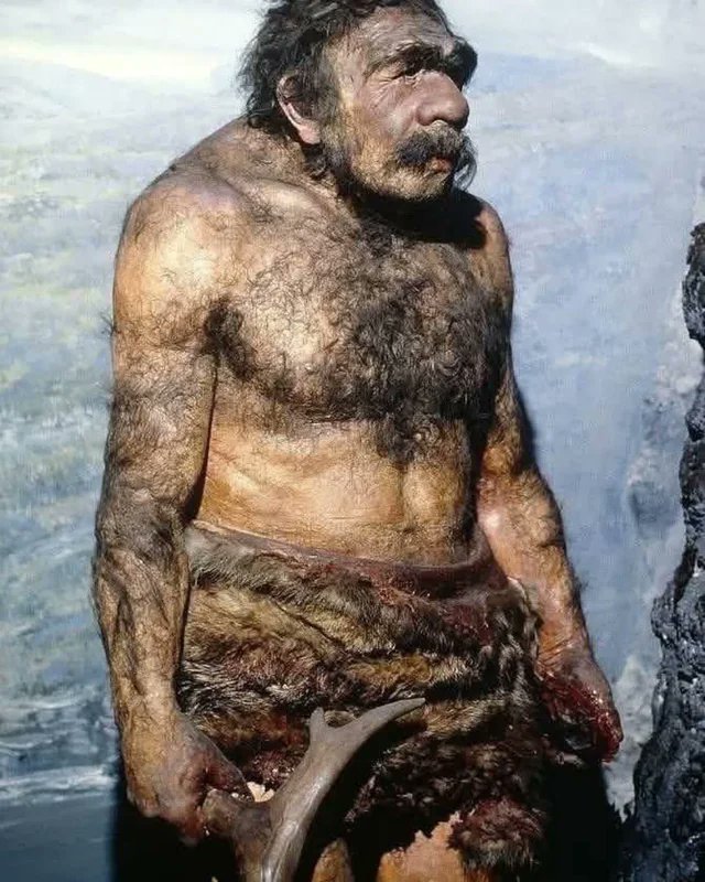 historyinmemes's tweet image. This is what a Neanderthal looked like 130,000 to 40,000 years ago