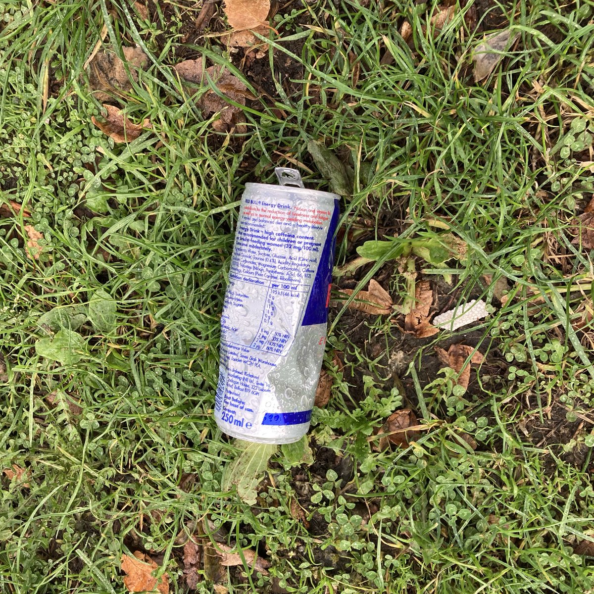 Red Bull can #1861: After the rain, Totteridge. #RedBull #Litter #LitterPicking #Recycling #KeepBritainTidy