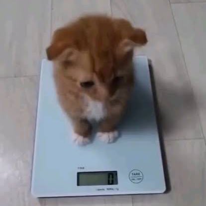 showmath_'s tweet image. A primeira vez que ouvi hits different eu fiquei tipo
&quot;Ué????? Ela não tá em um relacionamento feliz de 6 anos???&quot;