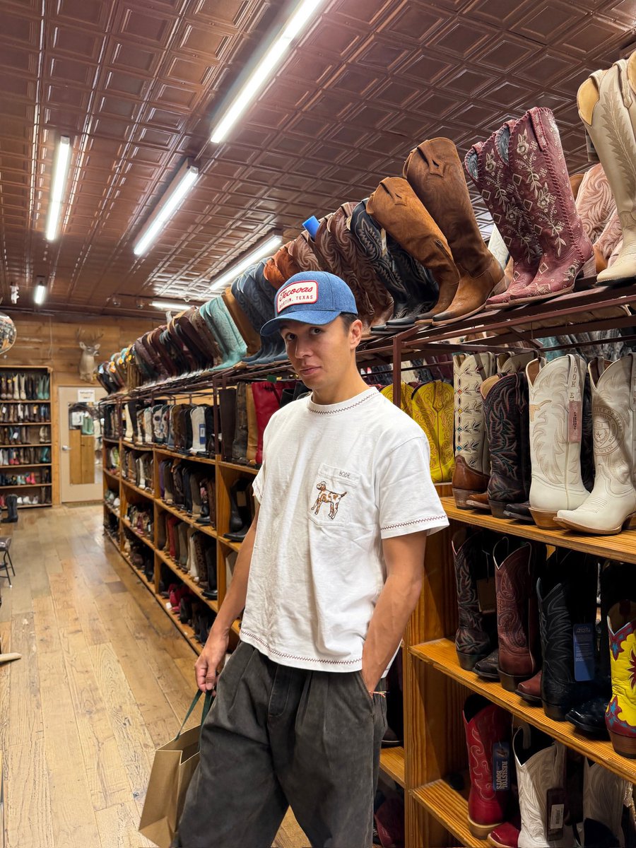 alex_albon's tweet image. Save a horse